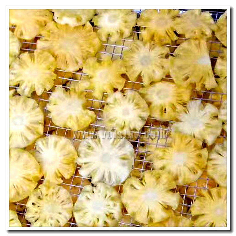 菠萝烘干机